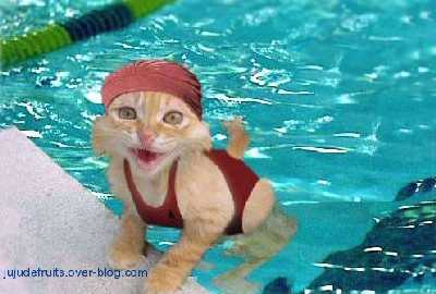 minou