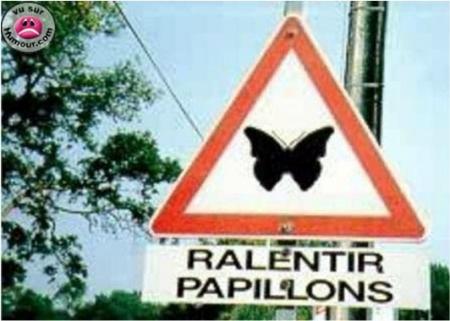 l'autre panneau